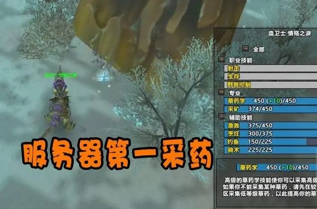 WLK开服首日人满为患 欧皇玩家钓到海龟